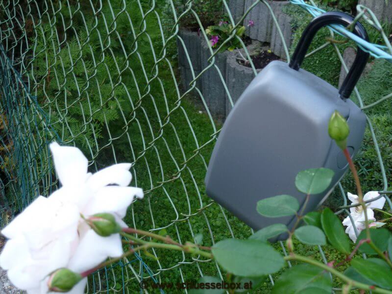 45368e5f303c2637645f95c2aa63b736